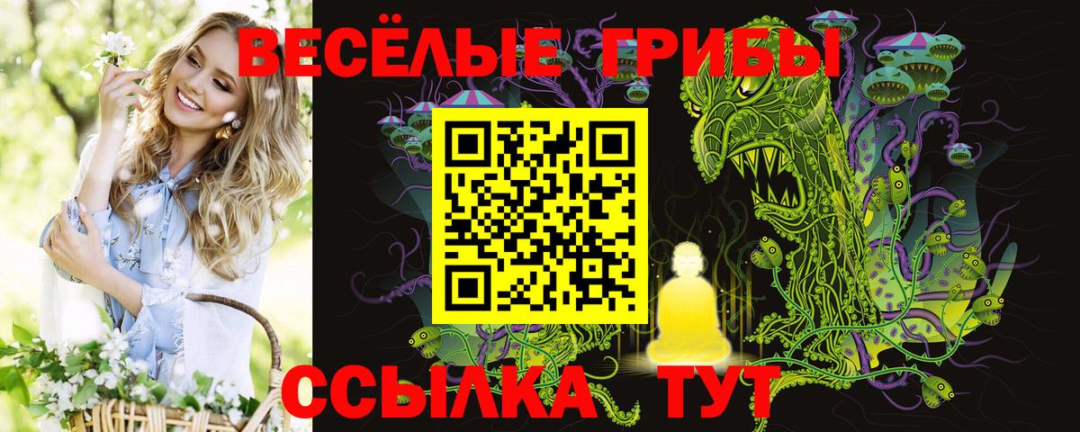 Псилоцибиновые грибы мухоморы  Вход с VPN  где купить   Торжок 